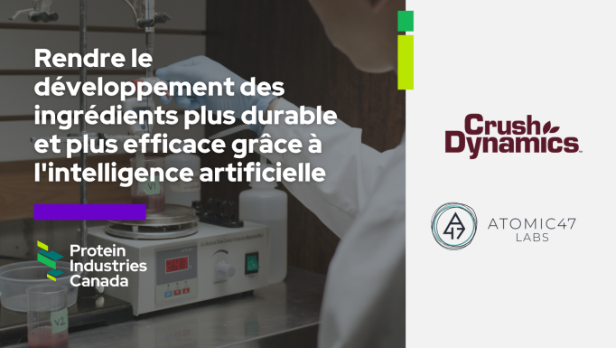 CD AI FR web