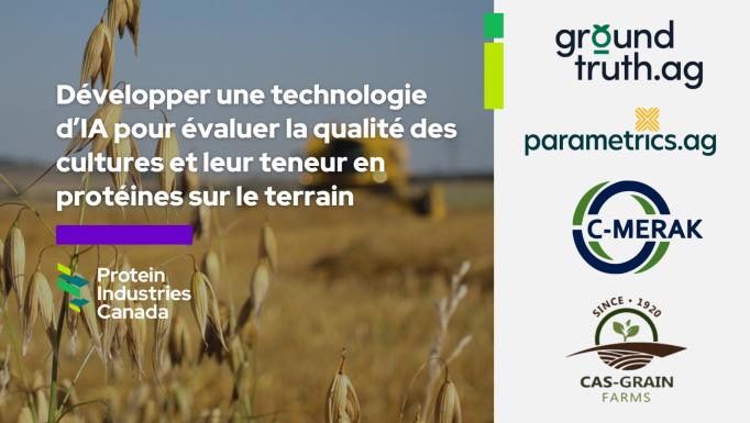 Ground Truth French