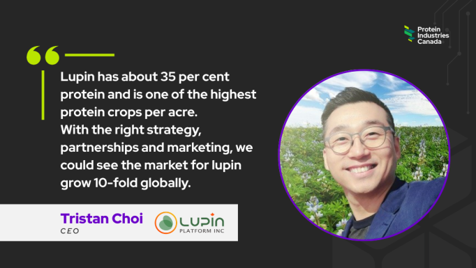 Lupin article EN
