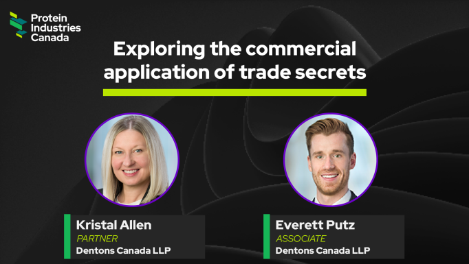 Exploring the commercial application of trade secrets