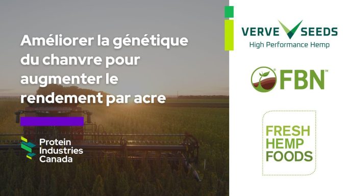Verve FR